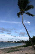 Beach Photo